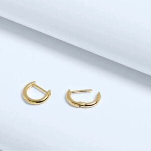 NWT Demi-Fine Mini Huggie Hoop Earrings